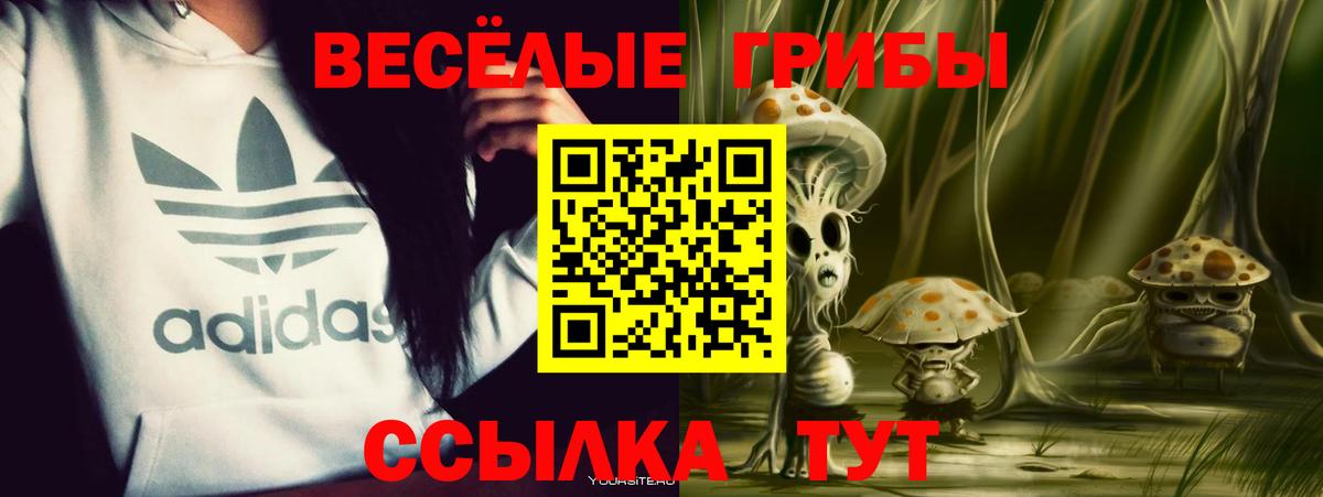 Галлюциногенные грибы мицелий  Вход с VPN  Шарыпово 